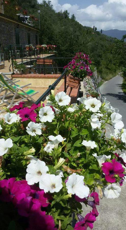 B&B Le Colline Di Bana Camogli Exterior photo